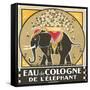 Elephant Cologne-null-Framed Stretched Canvas