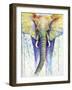 Elephant Colors-Michelle Faber-Framed Giclee Print