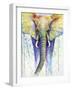 Elephant Colors-Michelle Faber-Framed Giclee Print