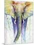 Elephant Colors-Michelle Faber-Mounted Premium Giclee Print