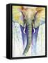 Elephant Colors-Michelle Faber-Framed Stretched Canvas