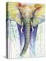 Elephant Colors-Michelle Faber-Stretched Canvas