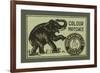 Elephant Colour Matches-null-Framed Premium Giclee Print