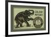 Elephant Colour Matches-null-Framed Premium Giclee Print