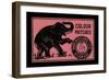 Elephant Colour Matches-null-Framed Art Print