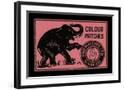 Chelsea Black