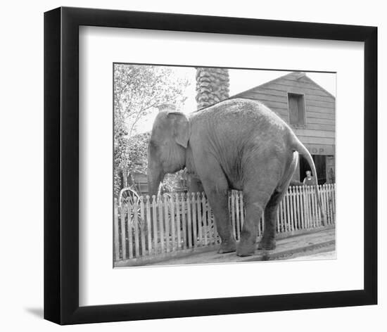 Elephant crossing Picket Fence-null-Framed Art Print