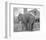 Elephant crossing Picket Fence-null-Framed Art Print