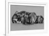 Elephant Crossing The River-Jun Zuo-Framed Photographic Print