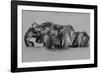 Elephant Crossing The River-Jun Zuo-Framed Photographic Print