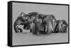 Elephant Crossing The River-Jun Zuo-Framed Stretched Canvas