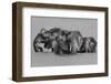 Elephant Crossing The River-Jun Zuo-Framed Photographic Print