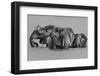 Elephant Crossing The River-Jun Zuo-Framed Photographic Print