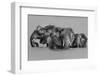 Elephant Crossing The River-Jun Zuo-Framed Photographic Print