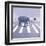 Elephant Crossing-Nancy Tillman-Framed Art Print