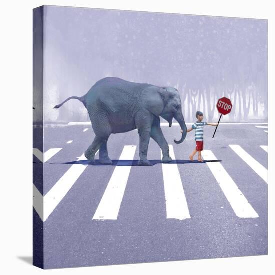 Elephant Crossing-Nancy Tillman-Stretched Canvas