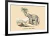 Elephant d'Inde-E.f. Noel-Framed Premium Giclee Print