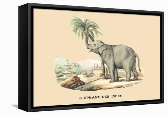 Elephant d'Inde-E.f. Noel-Framed Stretched Canvas