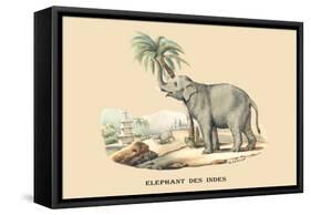 Elephant d'Inde-E.f. Noel-Framed Stretched Canvas