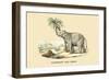 Elephant d'Inde-E.f. Noel-Framed Premium Giclee Print