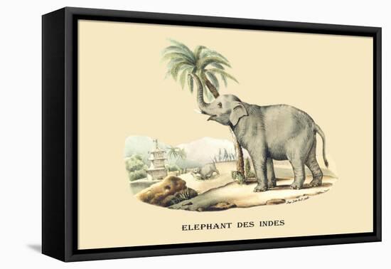 Elephant d'Inde-E.f. Noel-Framed Stretched Canvas