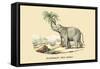 Elephant d'Inde-E.f. Noel-Framed Stretched Canvas