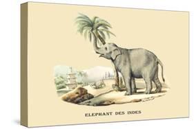 Elephant d'Inde-E.f. Noel-Stretched Canvas