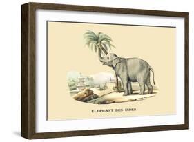 Elephant d'Inde-E.f. Noel-Framed Art Print