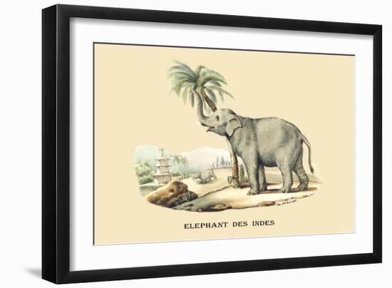 Elephant d'Inde-E.f. Noel-Framed Art Print