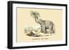 Elephant d'Inde-E.f. Noel-Framed Art Print