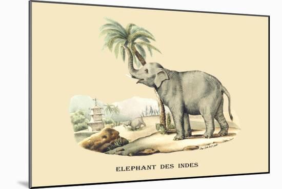 Elephant d'Inde-E.f. Noel-Mounted Art Print