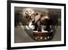 Elephant Dancer-Carrie Webster-Framed Giclee Print