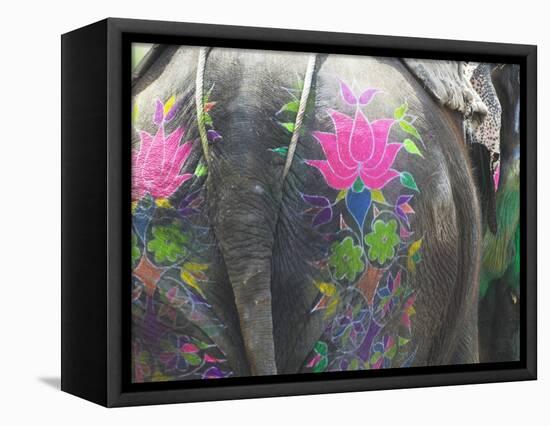 Elephant Decorated with Colorful Painting at Elephant Festival, Jaipur, Rajasthan, India-Keren Su-Framed Stretched Canvas