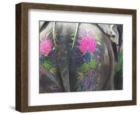 Elephant Decorated with Colorful Painting at Elephant Festival, Jaipur, Rajasthan, India-Keren Su-Framed Photographic Print