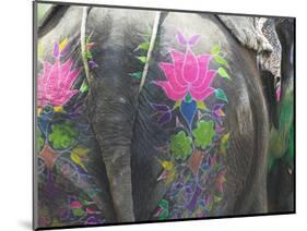 Elephant Decorated with Colorful Painting at Elephant Festival, Jaipur, Rajasthan, India-Keren Su-Mounted Photographic Print