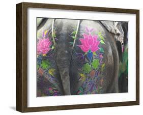 Elephant Decorated with Colorful Painting at Elephant Festival, Jaipur, Rajasthan, India-Keren Su-Framed Photographic Print