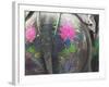 Elephant Decorated with Colorful Painting at Elephant Festival, Jaipur, Rajasthan, India-Keren Su-Framed Photographic Print