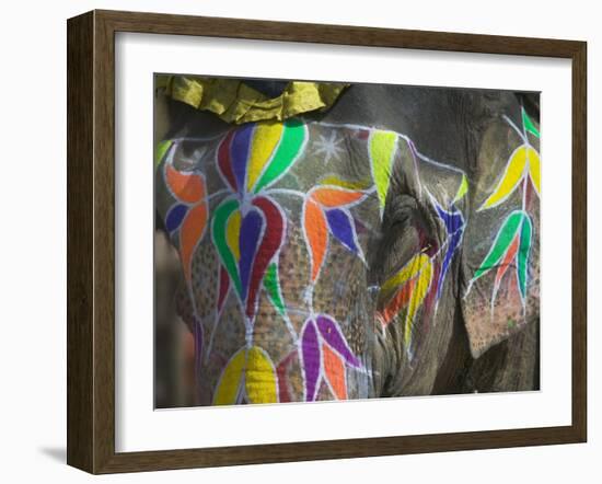 Elephant Decorated with Colorful Painting, Jaipur, Rajasthan, India-Keren Su-Framed Photographic Print