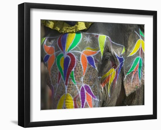 Elephant Decorated with Colorful Painting, Jaipur, Rajasthan, India-Keren Su-Framed Photographic Print