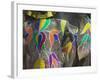 Elephant Decorated with Colorful Painting, Jaipur, Rajasthan, India-Keren Su-Framed Photographic Print