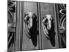 Elephant Doorknockers-Fred Musto-Mounted Photographic Print