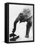 Elephant Drinking-null-Framed Stretched Canvas