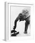 Elephant Drinking-null-Framed Photographic Print