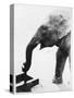 Elephant Drinking-null-Stretched Canvas