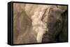 Elephant Dust Bathing-Martin Harvey-Framed Stretched Canvas