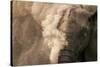 Elephant Dust Bathing-Martin Harvey-Stretched Canvas