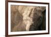 Elephant Dust Bathing-Martin Harvey-Framed Photographic Print