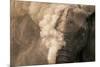 Elephant Dust Bathing-Martin Harvey-Mounted Photographic Print