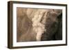 Elephant Dust Bathing-Martin Harvey-Framed Photographic Print