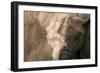 Elephant Dust Bathing-Martin Harvey-Framed Photographic Print